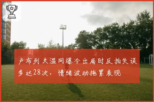 卢布列夫温网爆冷出局时反拍失误多达28次，情绪波动拖累表现
