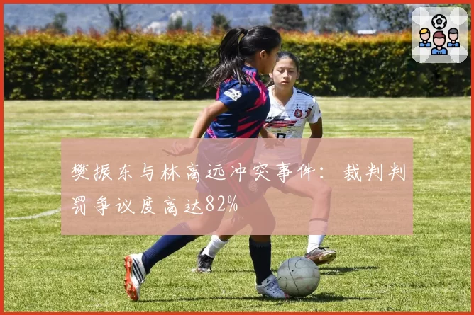 樊振东与林高远冲突事件：裁判判罚争议度高达82%